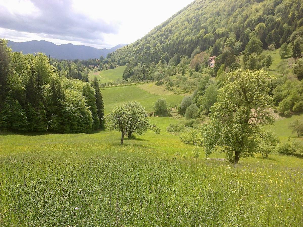 Blue Cottage Podvrh  Bagian luar foto