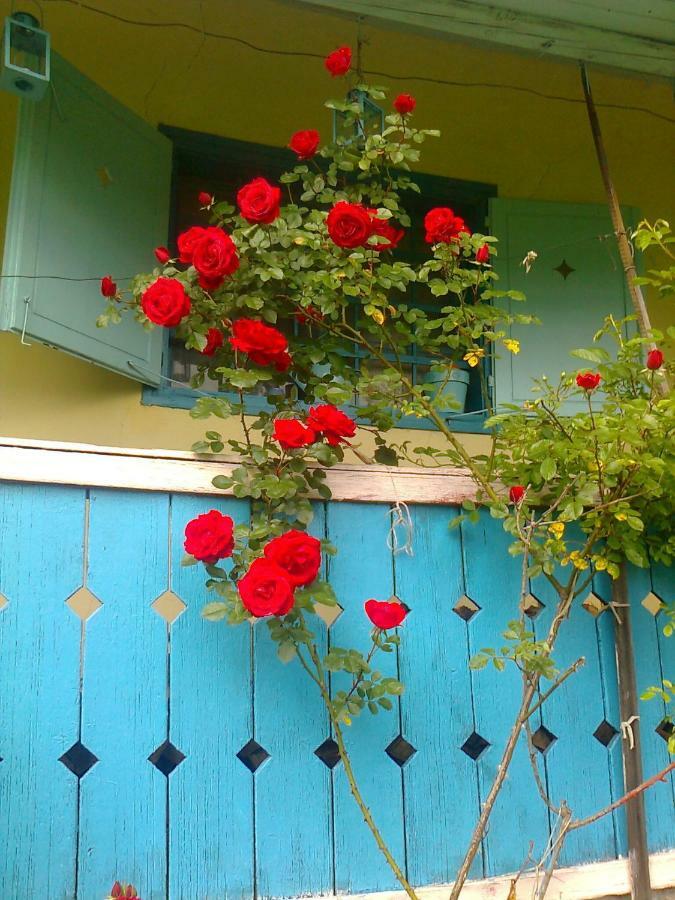 Blue Cottage Podvrh  Bagian luar foto